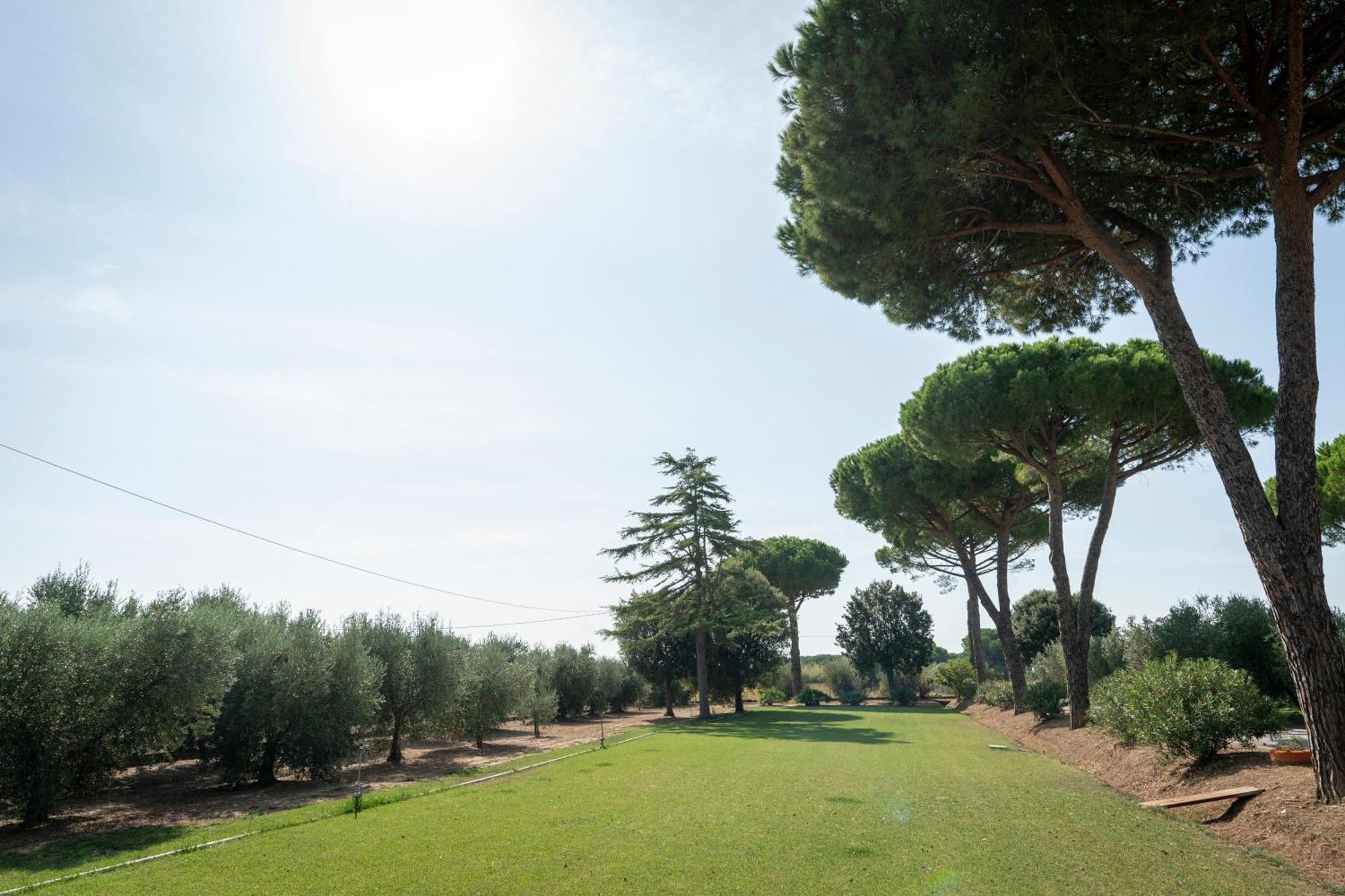 Agriturismo Nonno Gino - Charme&Relax Piombino Zewnętrze zdjęcie