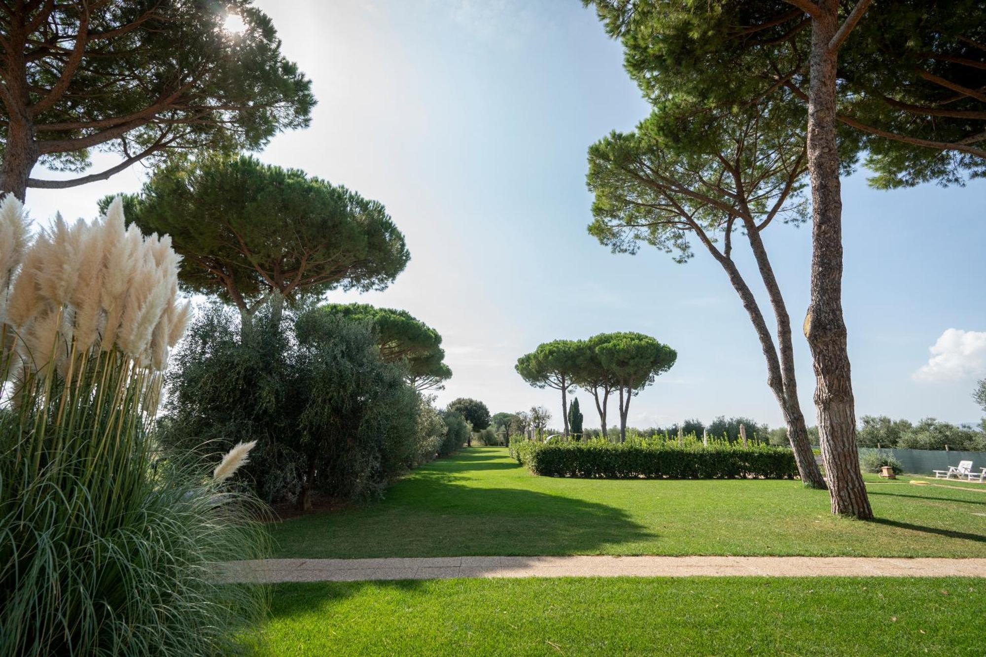 Agriturismo Nonno Gino - Charme&Relax Piombino Zewnętrze zdjęcie