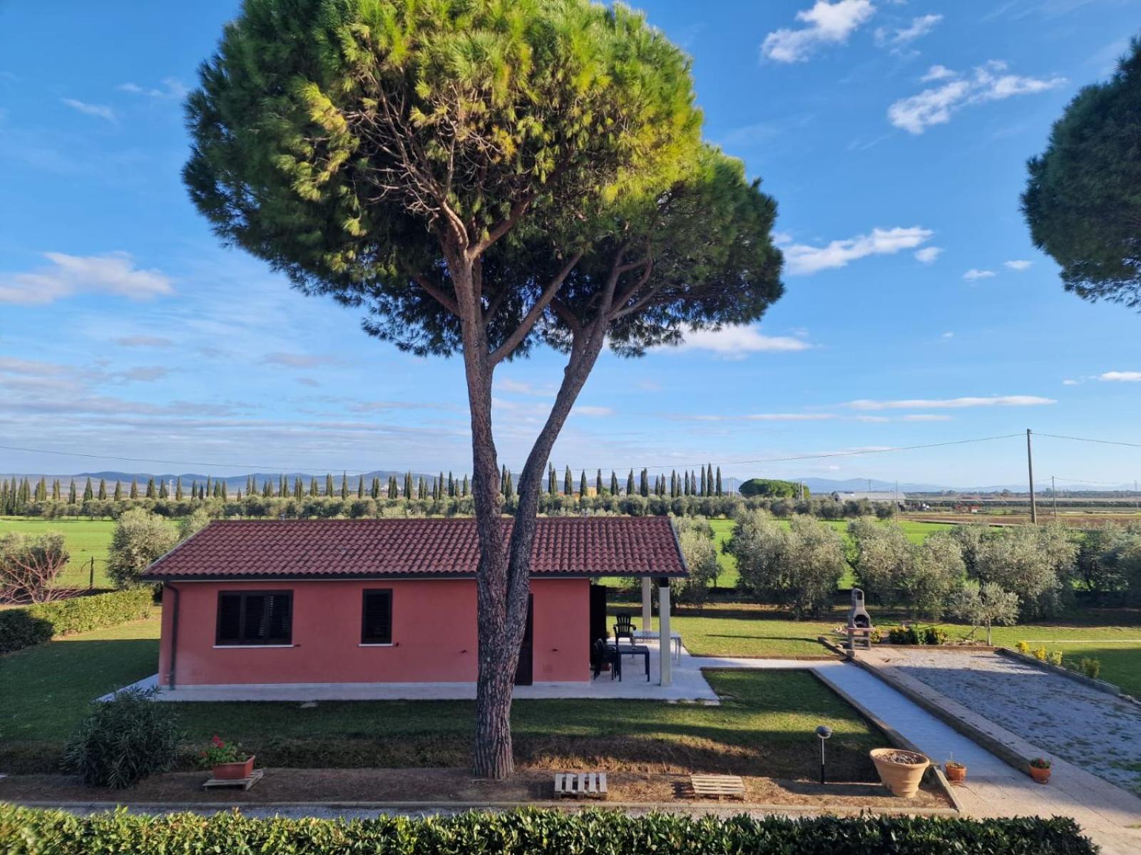 Agriturismo Nonno Gino - Charme&Relax Piombino Zewnętrze zdjęcie